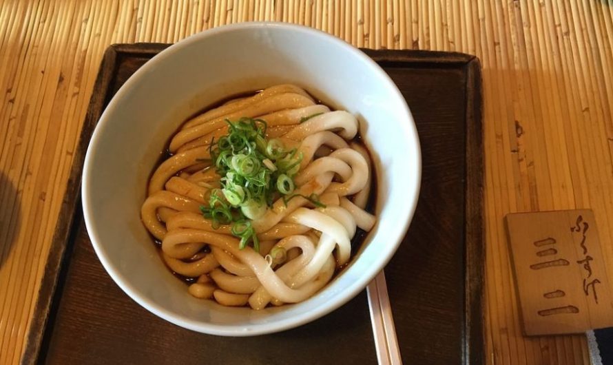 Rêver de nouilles udon : 12 Interprétations et Symboles