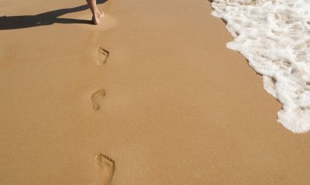 Rêver d’empreintes de pas : 8 Interprétations et Symboles
