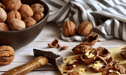 Rêver de noix : 13 Interprétations et Symboles