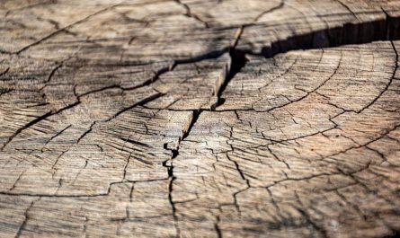 Rêvez de fissures : 8 Interprétations et Symboles