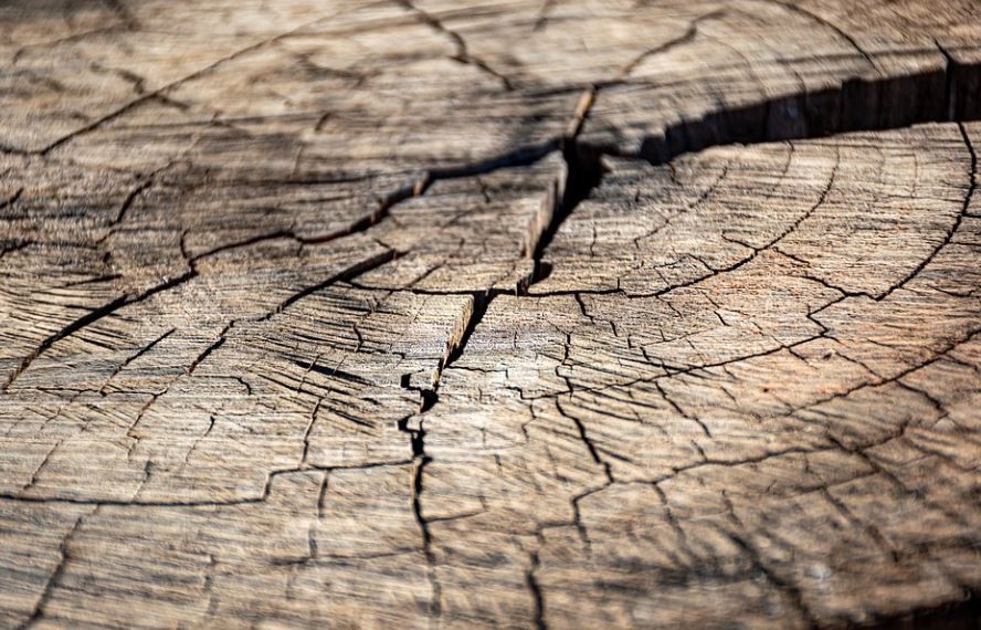 Rêvez de fissures : 8 Interprétations et Symboles