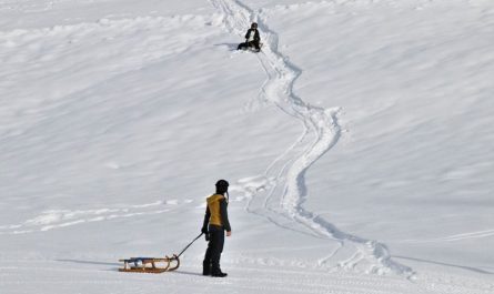 Rêvez de traîneau : 11 Interprétations et Symboles