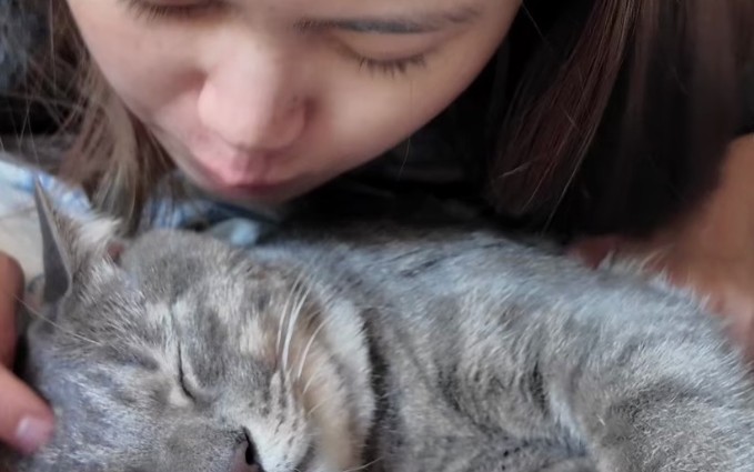 Rêve d’élever un chat : 5 Interprétations et Symboles