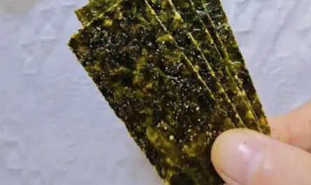 Rêver de manger des algues : 7 Interprétations et Symboles