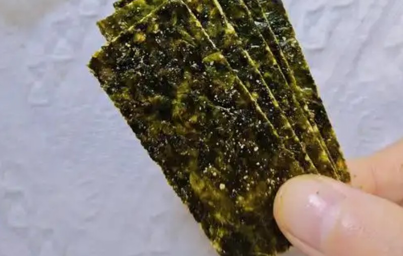 Rêver de manger des algues : 7 Interprétations et Symboles