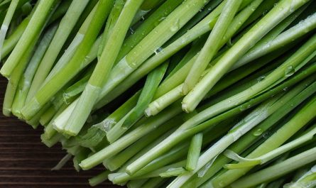 Rêver de poireaux : 14 Interprétations et Symboles