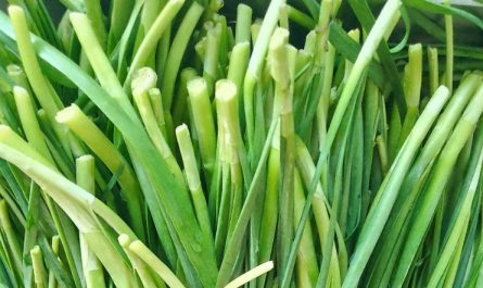 Rêver de poireaux : 13 Interprétations et Symboles