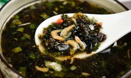 Rêver de manger de la soupe aux algues : 11 Interprétations et Symboles