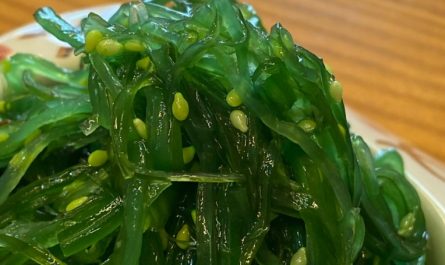 Rêver d’algues : 10 Interprétations et Symboles