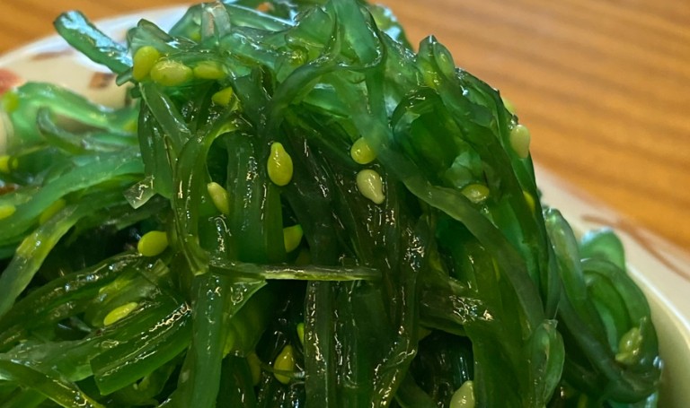 Rêver d’algues : 10 Interprétations et Symboles