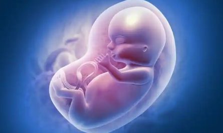 Rêver d’avortement : 16 Interprétations et Symboles