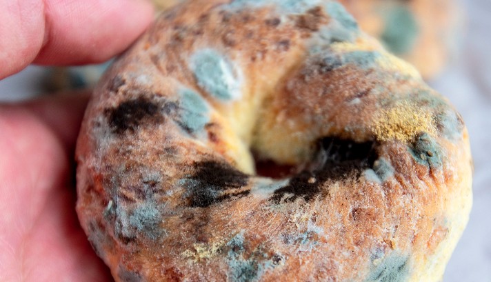 Rêver de moisissure : 19 Interprétations et Symboles