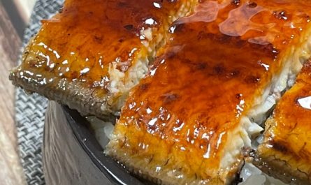 Rêver d’anguilles : 17 Interprétations et Symboles