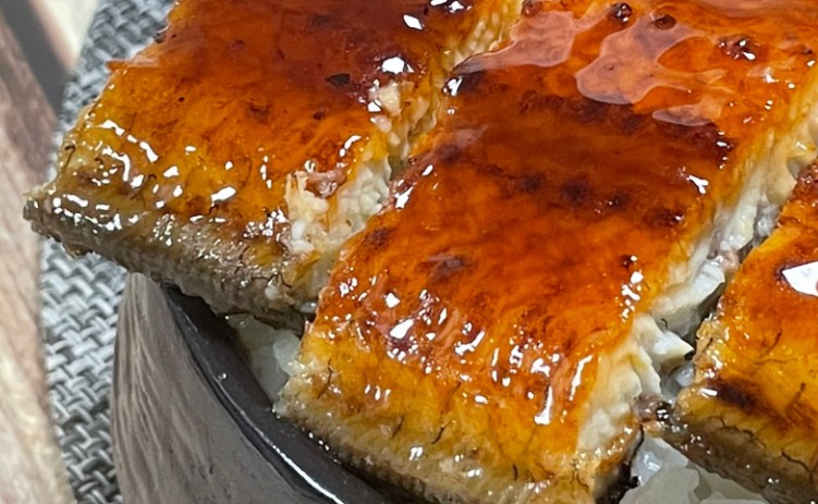 Rêver d’anguilles : 17 Interprétations et Symboles