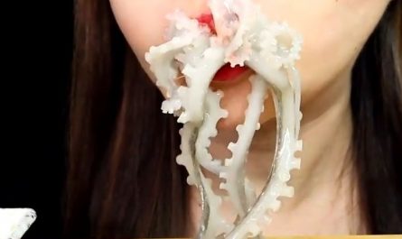 Rêver de manger du poulpe : 15 Interprétations et Symboles