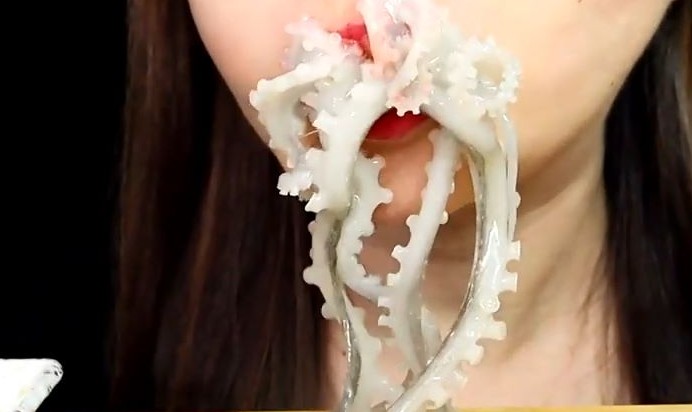 Rêver de manger du poulpe : 15 Interprétations et Symboles