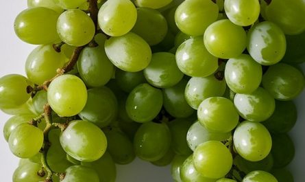 Rêver de raisins verts : 11 Interprétations et Symboles
