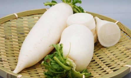 Rêver du radis : 12 Interprétations et Symboles