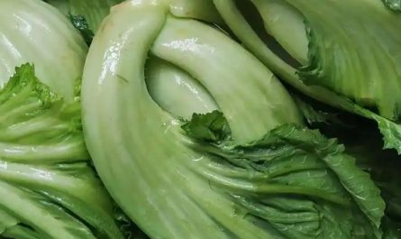 Rêver de choucroute : 14 Interprétations et Symboles