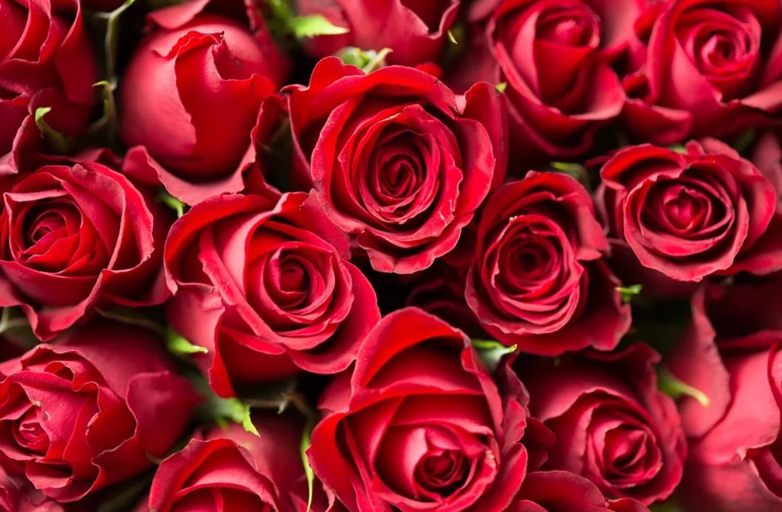 Rêver de fleurs : 28 Interprétations et Symboles