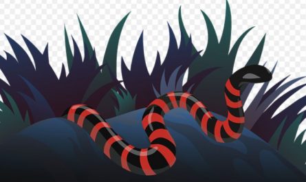 Rêver d'un serpent rouge : 15 Interprétations et Symboles