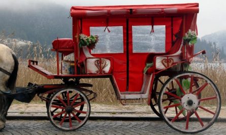 Rêver d'une calèche : 15 Interprétations et Symboles