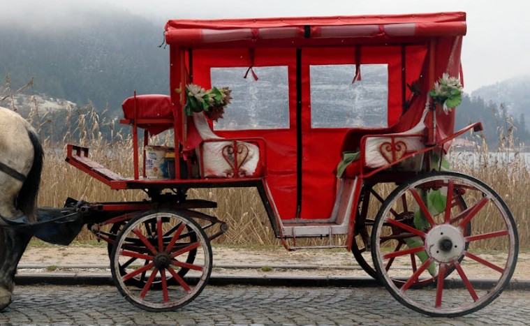 Rêver d'une calèche : 15 Interprétations et Symboles