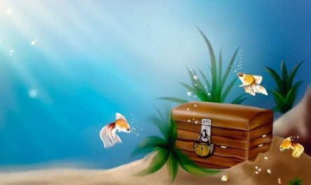 Rêver de petits poissons : 7 Interprétations et Symboles