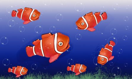 Rêver d'un poisson rouge : 8 Interprétations et Symboles