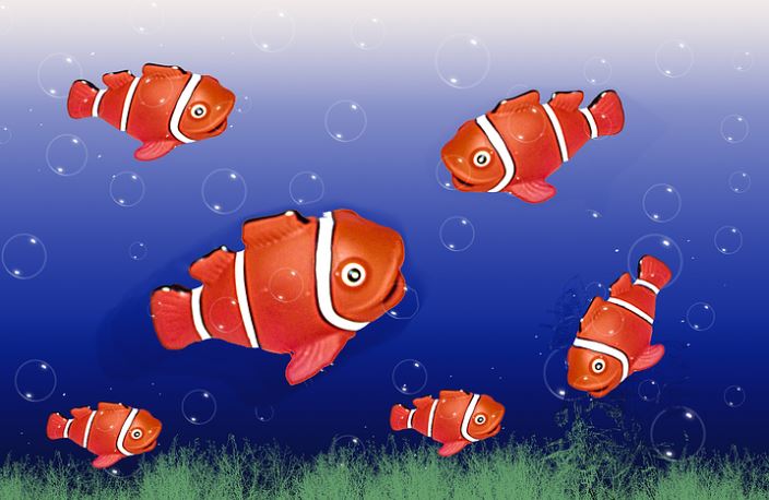 Rêver d'un poisson rouge : 8 Interprétations et Symboles