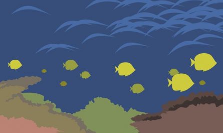 Rêver d'un banc de poissons : 8 Interprétations et Symboles