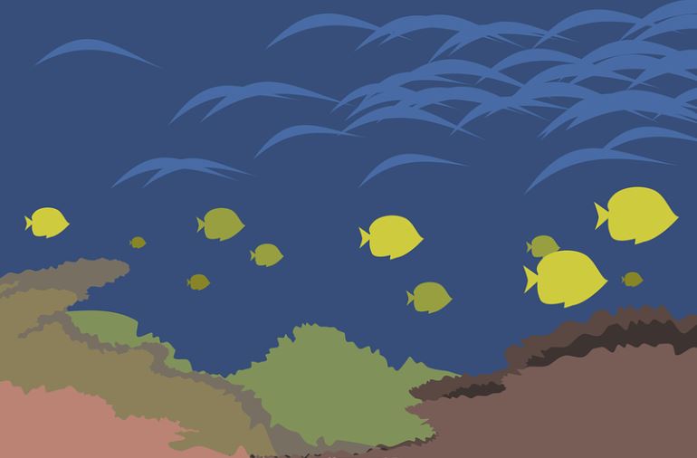 Rêver d'un banc de poissons : 8 Interprétations et Symboles