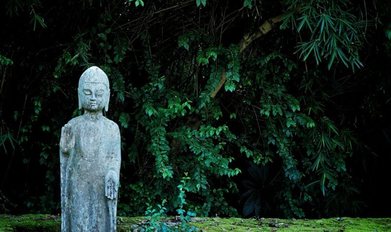 Rêver de statues de Bouddha - 20 significations et symboles