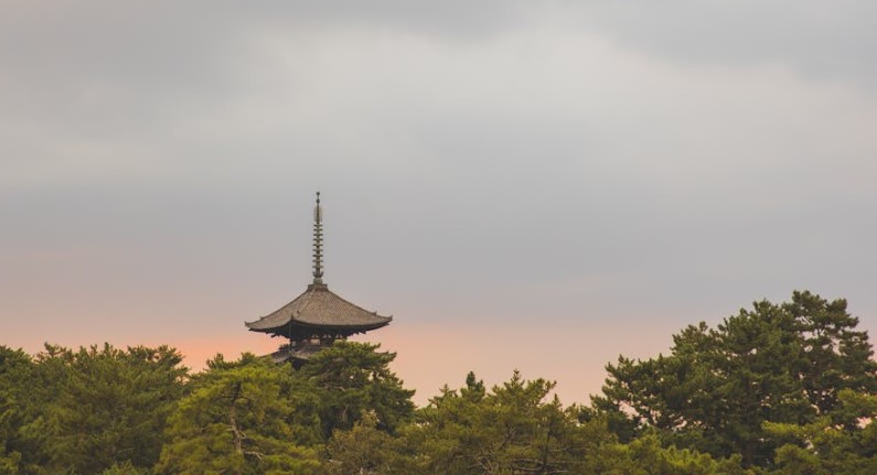 Rêver d'une tour - 20 significations et symboles