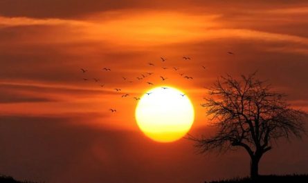 Rêver d'admirer le lever du soleil - 20 significations et symboles