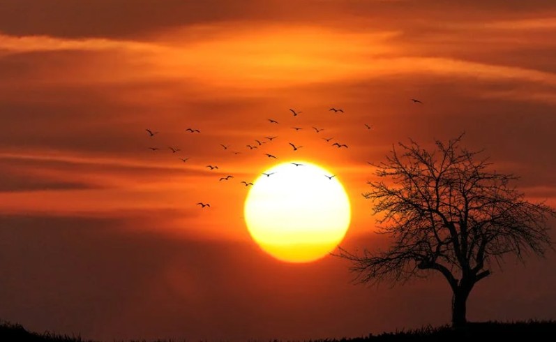 Rêver d'admirer le lever du soleil - 20 significations et symboles