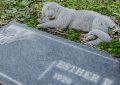 Rêver de tuer un ami proche - 9 significations et symboles