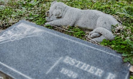 Rêver de tuer un ami proche - 9 significations et symboles