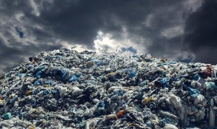 Rêver d'ordures : 17 Significations et Symbolismes