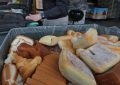 Rêver de gaspiller de la nourriture : 17 Significations et Symbolismes