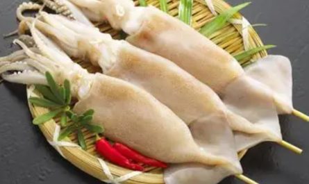Rêver de manger du sashimi de calamar : 9 Significations et Symbolismes