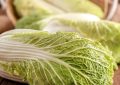 Rêver de manger du chou : 14 Significations et Symbolismes