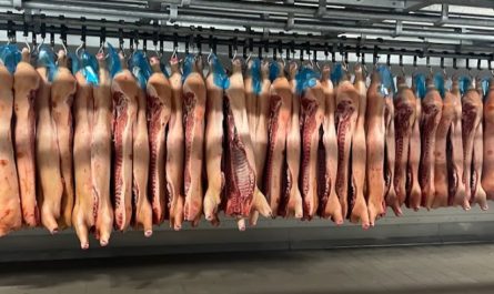 Rêver d'un cadavre : 25 Significations et Symbolismes