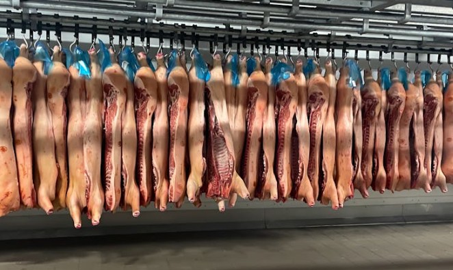Rêver d'un cadavre : 25 Significations et Symbolismes